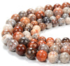 Natural Fossil Coral Gemstone Round 4MM 5MM 6MM 7MM Loose Beads (D292)