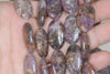 25X15mm Brown Purple Lepidolite Gemstone Grade AB Oval Loose Beads 15.5 inch Full Strand (90188226-662)