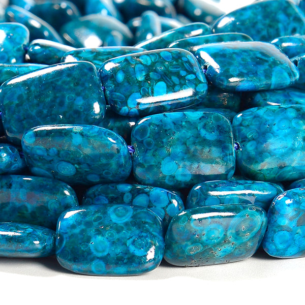 Blue Crinoid Fossil Gemstone Rectangle 18X13MM Loose Beads 7.5 inch Half Strand (80020657-D661)