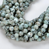 6mm Green Dalmation Jasper Gemstone Green Round Loose Beads 15 inch Full Strand (80005998-M40)