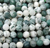 Matte Tree Agate Gemstone Grade AAA Round 4MM 6MM 8MM Loose Beads (D335)