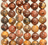 6mm Leopard Skin Jasper Gemstone Yellow Red Round Loose Beads 15 inch Full Strand (80005929-M34)