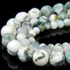 Matte Tree Agate Gemstone Grade AAA Round 4MM 6MM 8MM Loose Beads (D335)