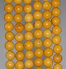 6mm Yellow Mookaite Gemstone Grade AAA Yellow Round 6mm Loose Beads 15 inch Full Strand (80003052-150)