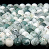 Matte Tree Agate Gemstone Grade AAA Round 4MM 6MM 8MM Loose Beads (D335)