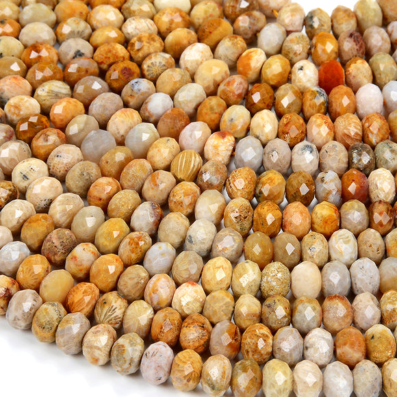 Natural Fossil Coral Gemstone Grade AAA Faceted Rondelle 6X4MM 7X4MM 8X5MM 10X7MM Loose Beads (D345)